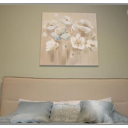 Apartment Libra Novi Sad Exteriér fotografie